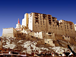 Leh palace, Ladakh