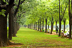 Bangalore: Cubbon Park