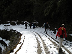 Darjeeling: trek