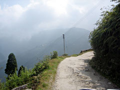 Trek to Darjeeling