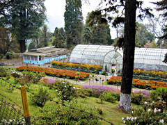 Darjeeling: Lloyd Botanical Gardens