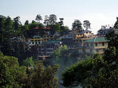 Dharamsala View