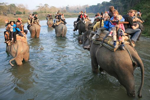 Elephant Safari Chitwan National park