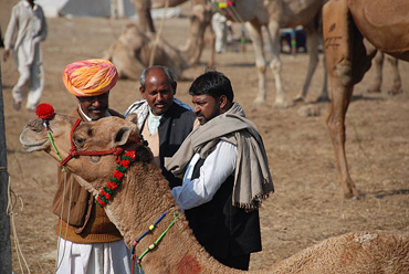 Feilschen-auf-den-Kamelmarkt
