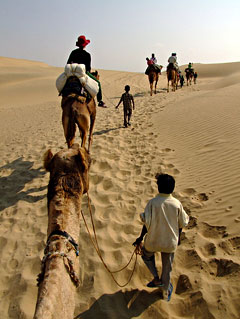 Jaisalmer: Camel safari