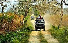 Kaziranga: National park