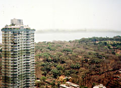 Mumbai: Towers of silence