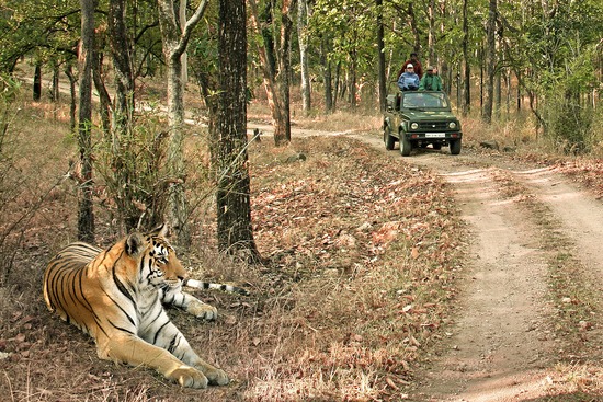 Pench-National-park