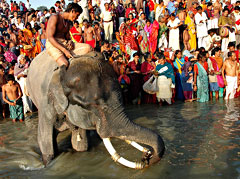 Sonepur: The biggest animal fair in Asia