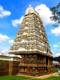 Vellore: Jalakanteswarar temple