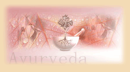 Ayurveda Medikamente aus Indien