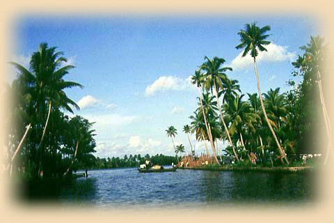 Urlaub in  Kerala, 14 Tage, Mumbai - Cochin - Munnar - Carmelia Haven - Periyar - Kumarakom - Kottayam - Alleppy - Mararikulam