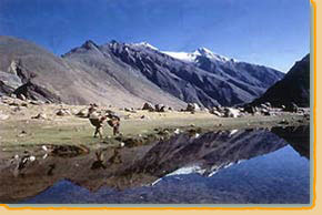 Ladakh Urlaub, Ladakh intensive Reise, 14 Tage Reise Delhi - Amritsar - Dharamsala - Jammu - Leh (Spituk, Phyang, Tikse, Shey, Hemis, Stok, Alchi, Likir)