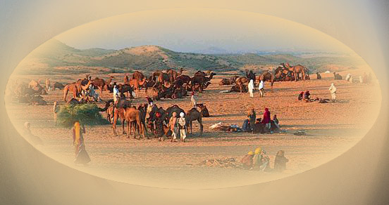 Rajasthan Reise mit Pushkar Fest, 16 Tage Reise, Delhi - Shekhawati - Bikaner - Osian - Jaisalmer - Jodhpur - Ranakpur - Udaipur - Pushkar - Jaipur - Fatehpur Sikri - Agra 