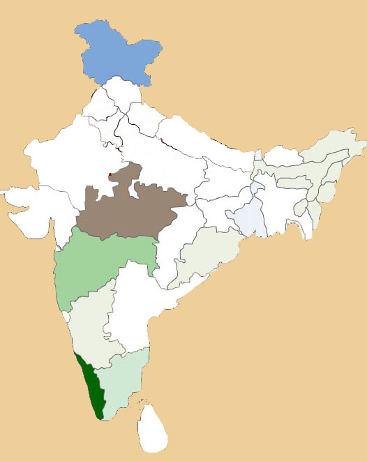 Sprachen in Indien, Übersetzer in Indien, Dolmetscher in Indien